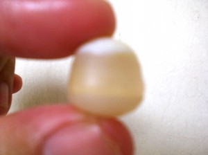 Albino Snake Crown's Pearl - 081
